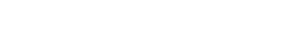 The NYC Journal